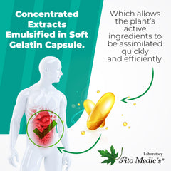 100-day supply of mushroom complex softgels