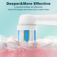 Packaging of 12WE brush heads for Oral-B iO series