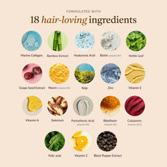 Graphic of collagen, biotin, silica, and bamboo ingredients