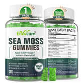 Front view of 1Pack Sea Moss Gummies Sugar-Free packaging