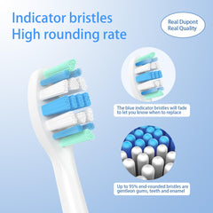 Blue indicator bristles fading on replacement head