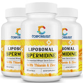 Product hero image: 30mg spermidine supplement for men and women