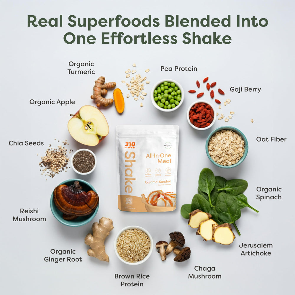 310 Nutrition sugar-free formula—no artificial sweeteners, gluten, or dairy.