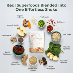 310 Nutrition sugar-free formula—no artificial sweeteners, gluten, or dairy.