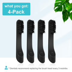 Graphic showing replacement every 3 months and easy removal method