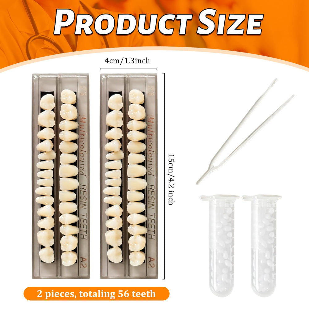 Upper and lower denture teeth in resin material