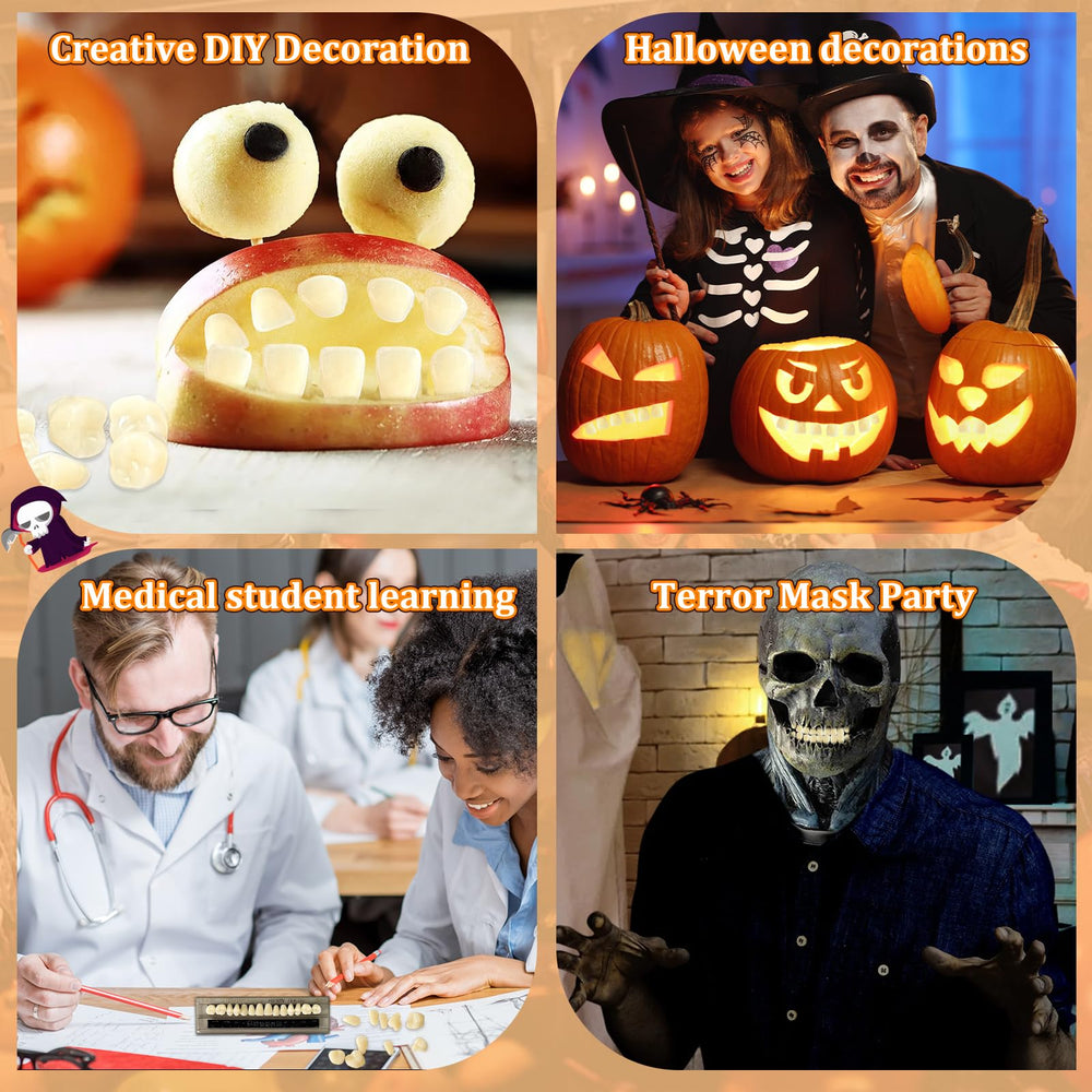 False teeth model for learning or Halloween prop