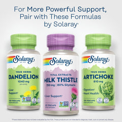 60-day money-back guarantee badge