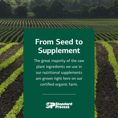 Graphic representing 60 softgels serving