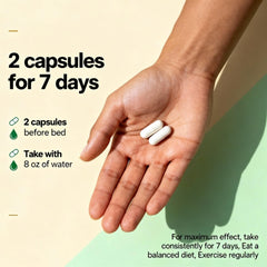 Graphic illustrating digestive health and regularity