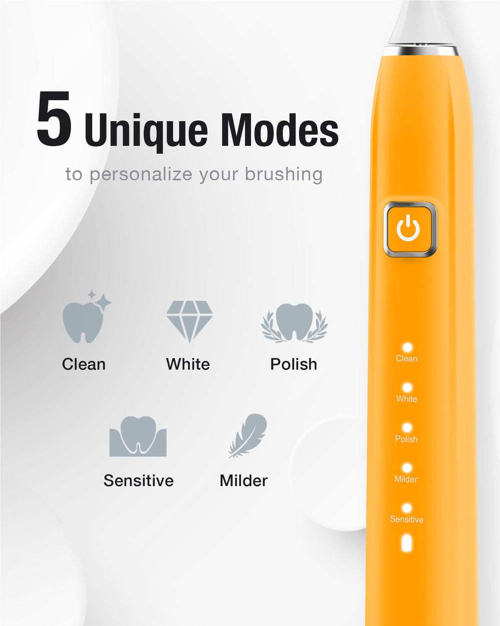 Six replacement brush heads with W shape design