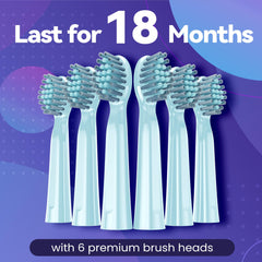 Blue 7AM2M toothbrush packaging box