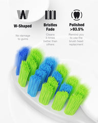 Built-in 2-minute timer display on toothbrush