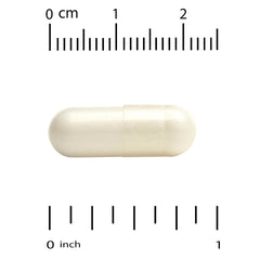 Graphic showing 8 active probiotic strains (5 Lactobacilli and 3 Bifidobacteria)