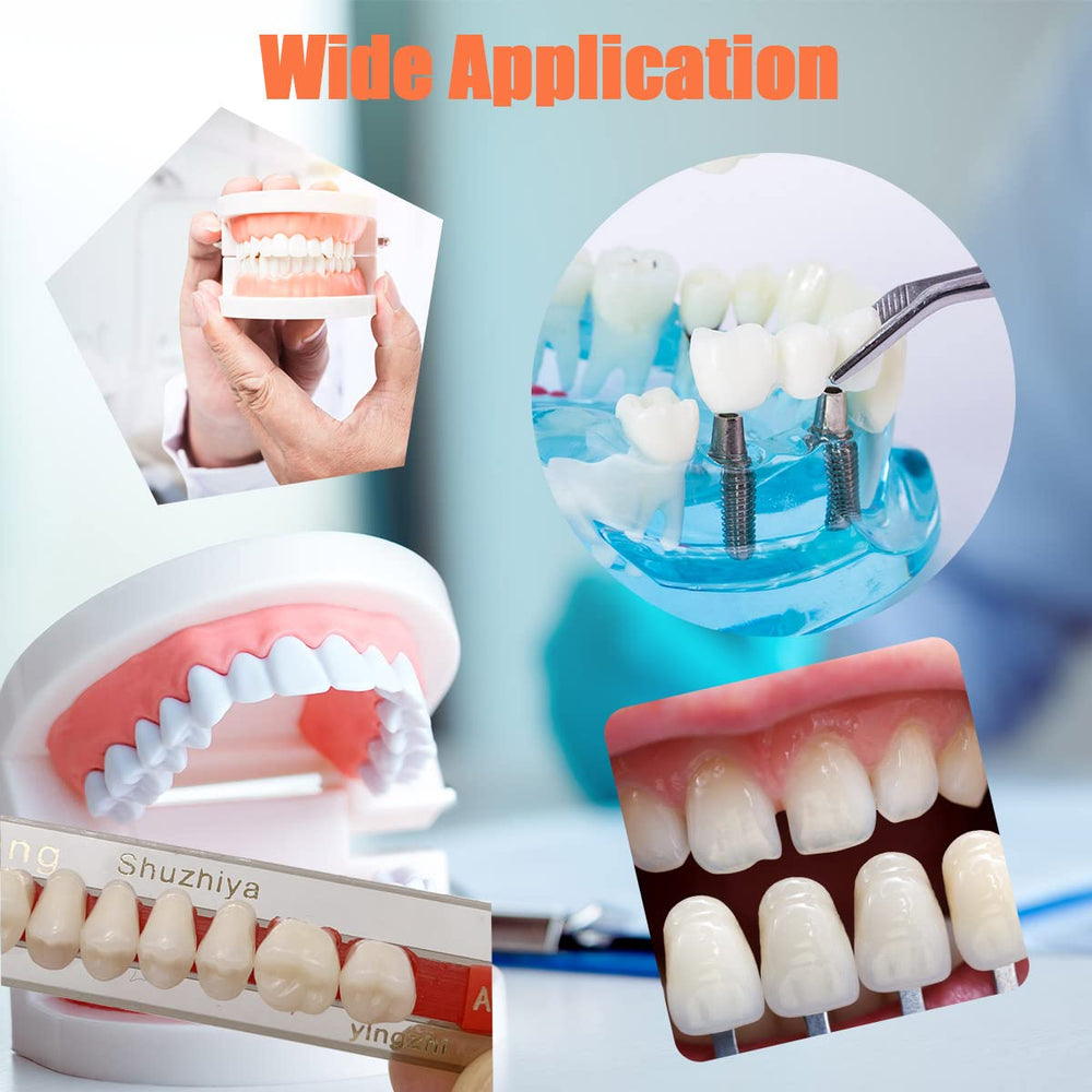 Denture teeth suitable for replacement and teaching