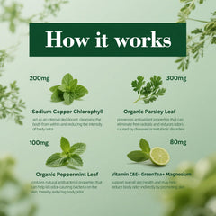 90-capsule bottle displayed for daily use