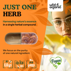 90 vegetarian red reishi capsules per bottle