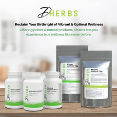 Concept image of overall gut wellness and vitality