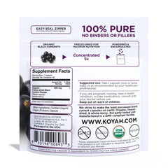 Illustration of the freeze-drying process for black currants