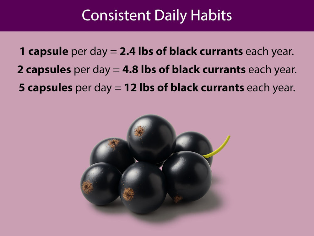 Vegan pullulan capsule used for KOYAH Black Currant Capsules