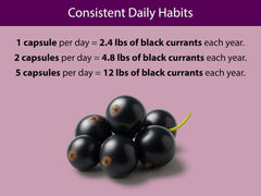 Vegan pullulan capsule used for KOYAH Black Currant Capsules