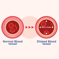 Black garlic and grape seed antioxidants in VasQFlow