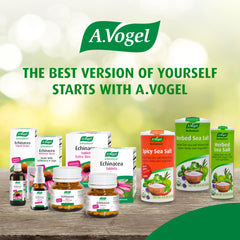 Highlight showing free-from common allergens