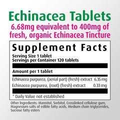 Close-up of Echinacea purpurea ingredients