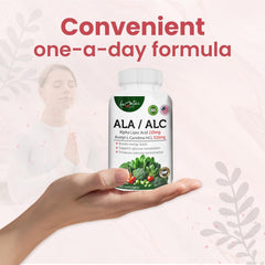 Skin health and antioxidant support from ALA/ALC