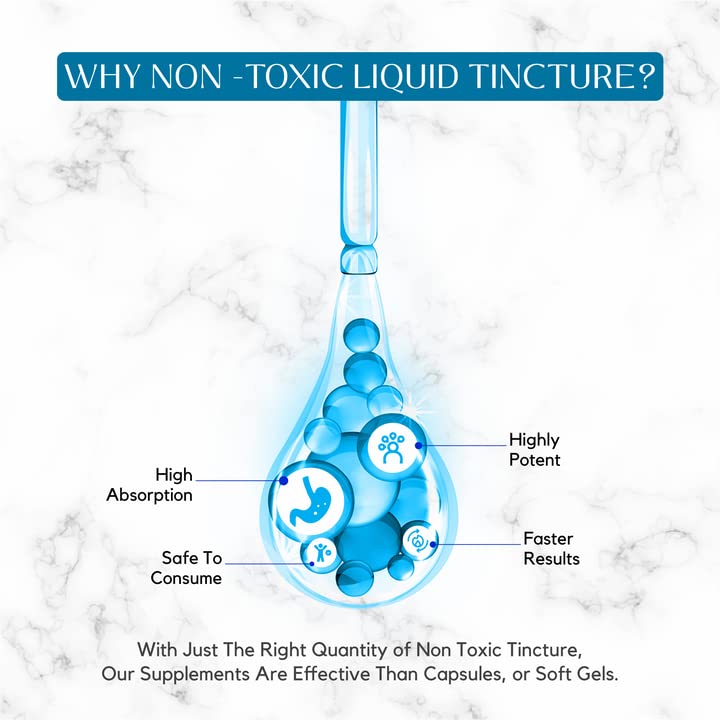 Liquid fisetin with quick absorption properties