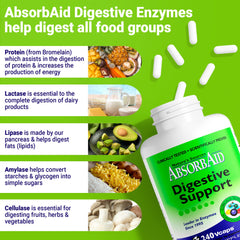 Graphic illustrating improved digestion and absorption with AbsorbAid