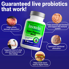 Immunity support benefits graphic