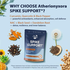 High absorption with black pepper, turmeric, and quercetin illustration