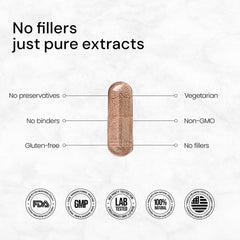 Reishi mushroom close-up