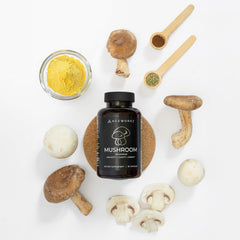 Turkey Tail mushroom close-up