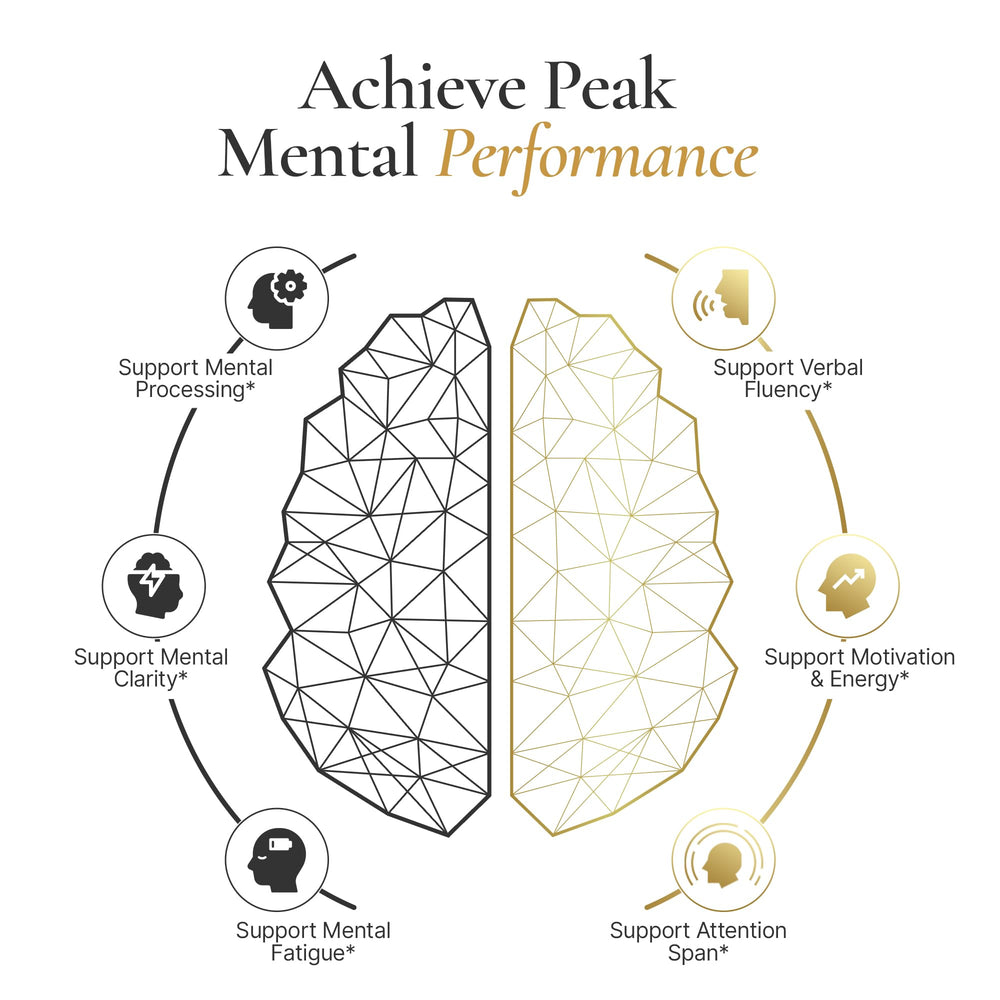 ACEWORKZ Elite Brain capsules for memory and focus support