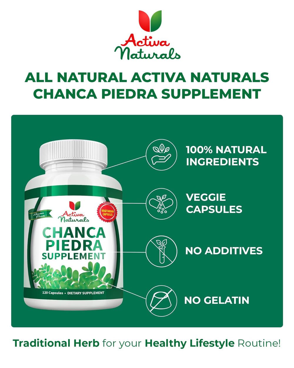 Phyllanthus Niruri herb (Chanca Piedra) phyto-remedy for urinary health.