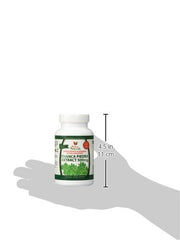 Traditional use of Chanca Piedra in herbal medicine.