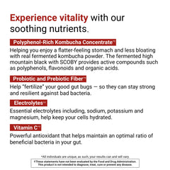 Glass poured with Daily Digestive Tonic Berry Lemonade