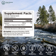Digestive health concept illustration for gut health and regularity