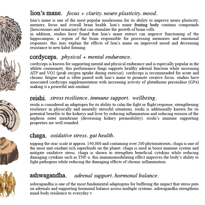 Ingredients label highlighting mushrooms and ashwagandha