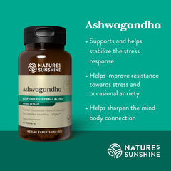 Illustration of adaptogenic herbs for stress support