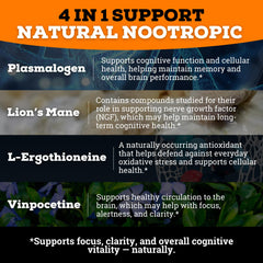 Lion’s Mane mushroom and capsules representing memory support