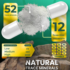 Graphic showing 52 trace minerals