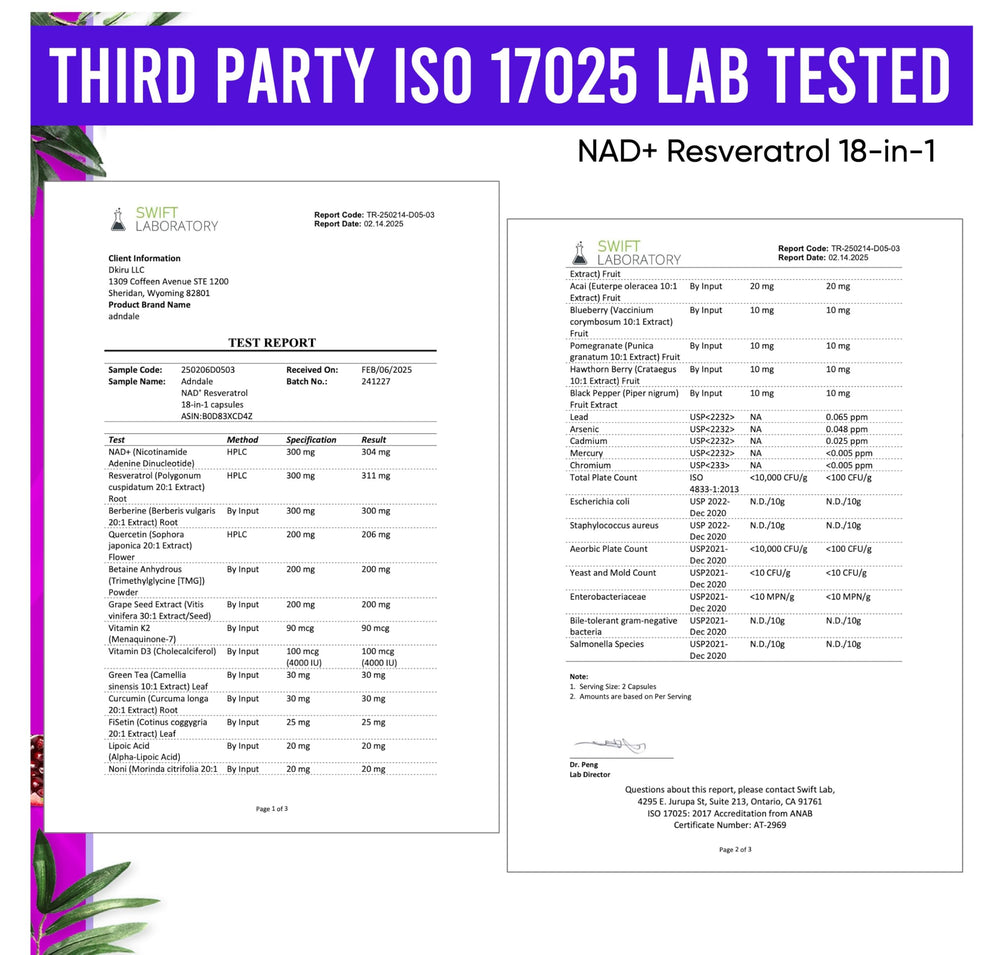 Liposomal NAD+ technology illustration