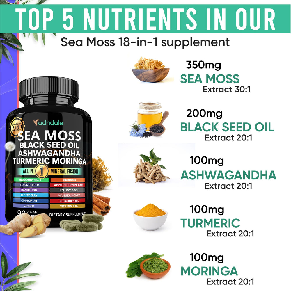 Graphic showing Adndale 18-in-1 sea moss fusion capsules