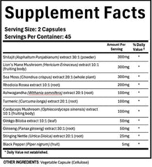 Panax Ginseng and Ginkgo Biloba in the formula