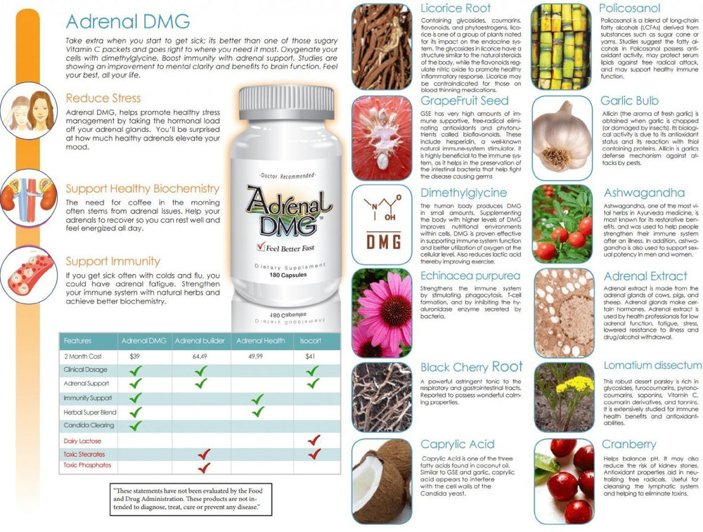 Enhanced focus and physical endurance