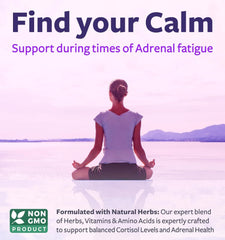 USA GMP-certified facility for Adrenal System Support production