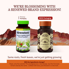 Close-up of Adrenotonic softgels